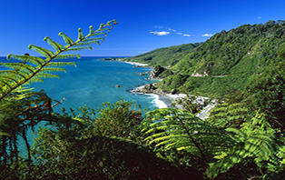 DU HỌC NEWZEALAND
